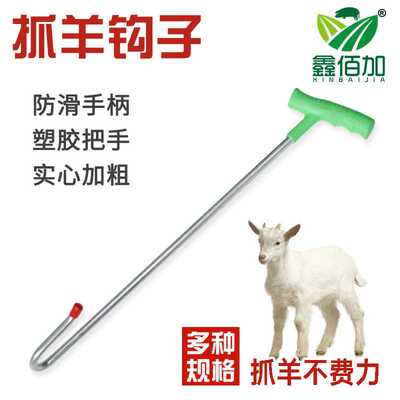 抓羊钩捉羊钢钩逮子腿蹄