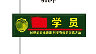 教官臂章训练臂章定做胸章领章订制袖章领章胸章