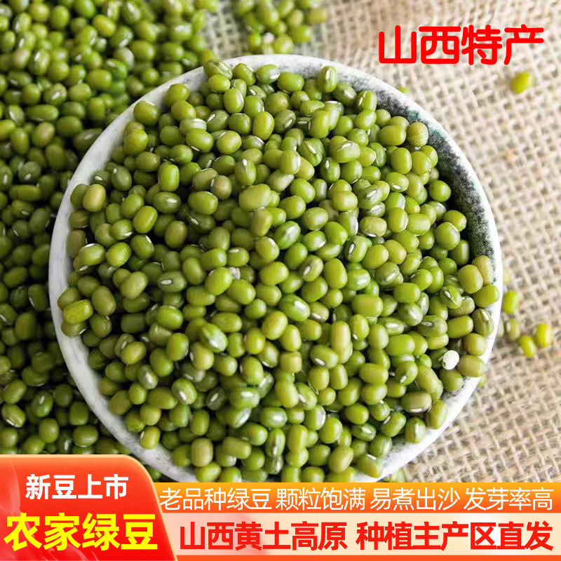 山西特产农家自种绿豆毛绿豆新货
