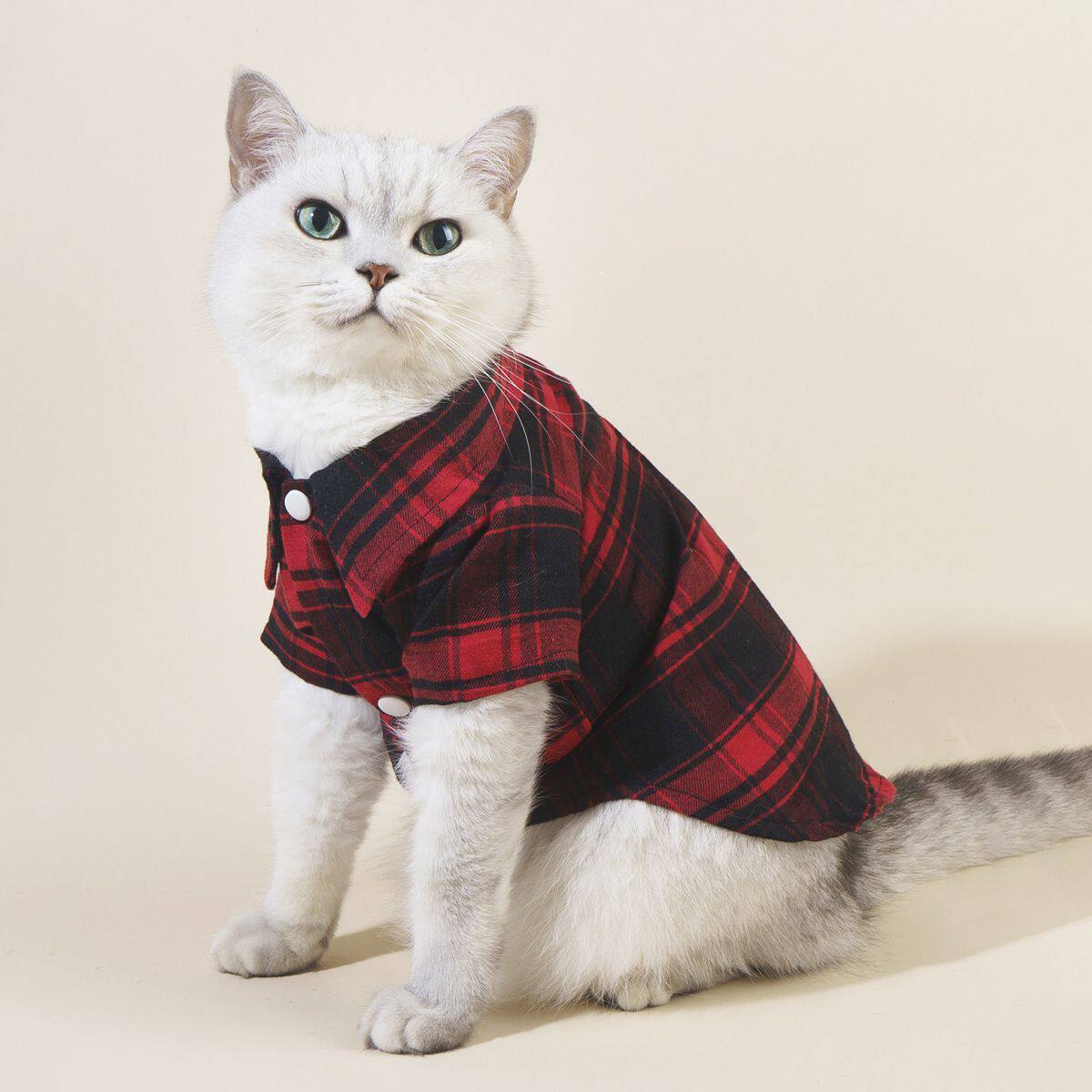 夏季新款宠物衣服休闲格子衫猫咪衣服绅士可水洗宠物用品现货