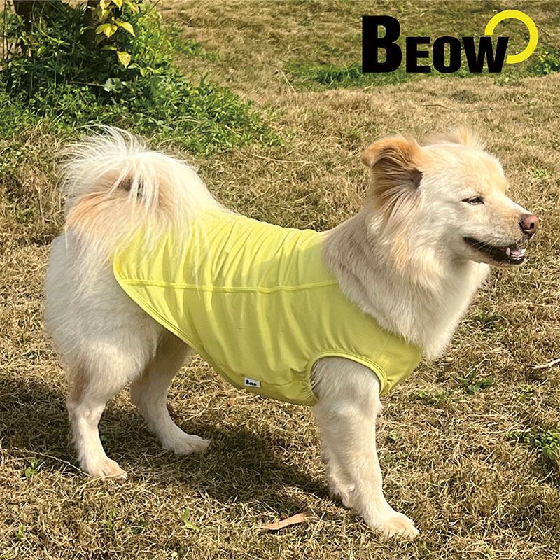 BEOW狗狗凉凉衣防晒凉感速干轻薄