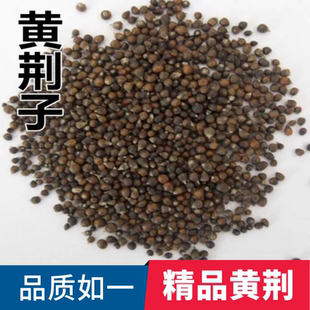 黄荆子 中药材 250克 布荆子 黄金子 五指柑 土常山 黄荆条农产品