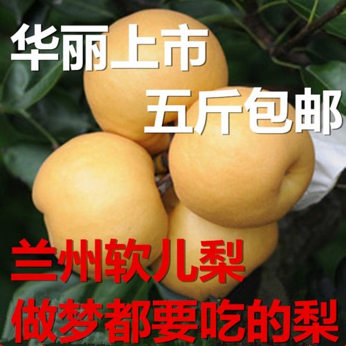 黄软儿梨兰州特产 大冻梨冬巴梨软果子冬梨黑梨化心梨非东北苹果