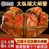 活蟹公5.0两母4.0两8 12只盐城大纵湖大闸蟹鲜活螃蟹现货礼盒装