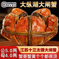 活蟹公5.0两母4.0两8-12只盐城大纵湖大闸蟹鲜活螃蟹现货礼盒装