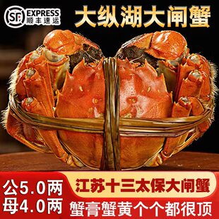 活蟹公5.0两母4.0两8 12只盐城大纵湖大闸蟹鲜活螃蟹现货礼盒装