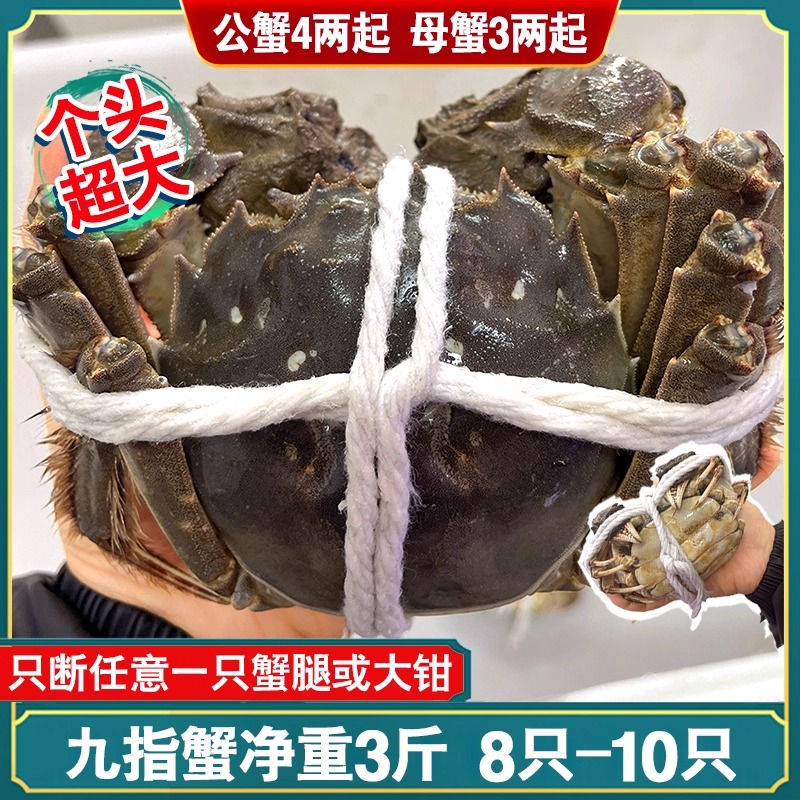 3斤装净重九指大纵湖大闸蟹超大鲜活断脚蟹断腿蟹四两公 三两母起