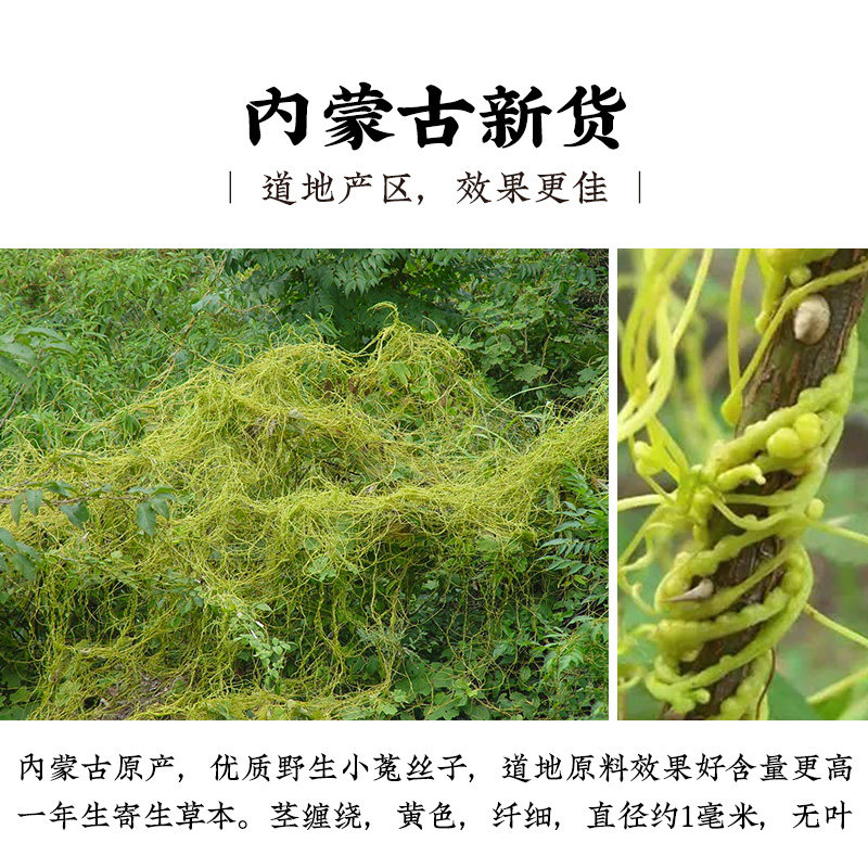 寻百草野生菟丝子500g中药材小兔丝子吐丝子可搭女贞子沙苑子枸杞