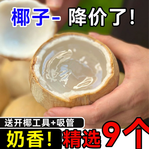 海南奶椰9个新鲜椰子水果孕妇整箱特产包邮去皮香椰皇椰汁椰子蛋