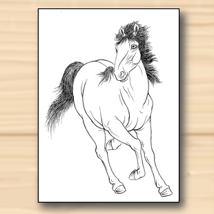 白描底稿工笔画骏马图初学者动物国画线描稿高清实物稿线稿送彩图