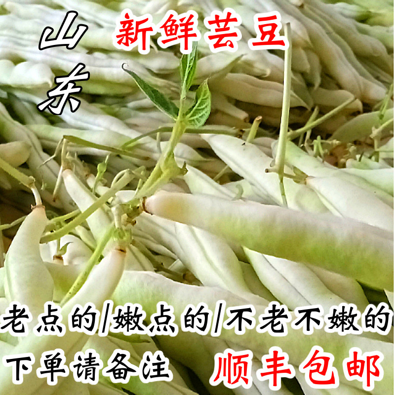 山东白芸豆角老来少芸豆新鲜蔬菜四季豆白不老豆角米豆农家