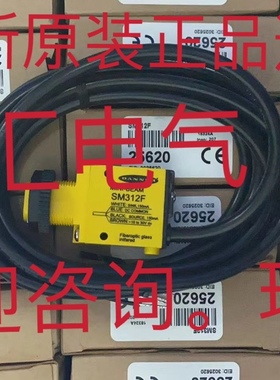 SM31E S183E S18RW3R SM312CV SM312W SM312ELMHS 原装询价