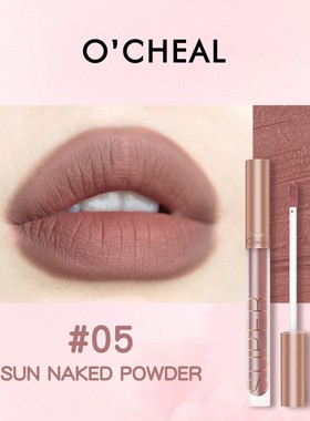 Liquid Lipstick Matte Lip Gloss Cosmetic Waterproof 哑光口红