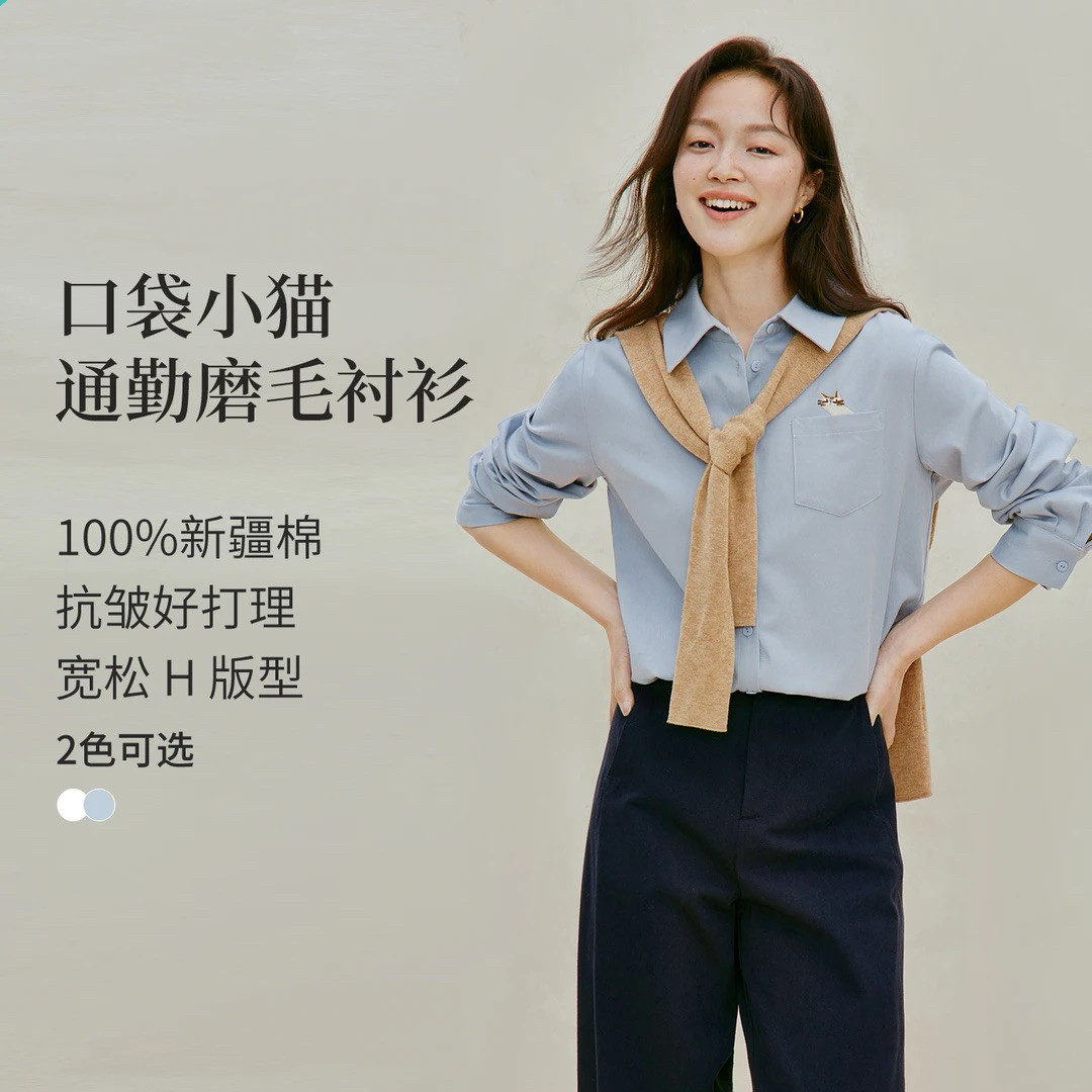 微职场穿搭刺绣磨毛白衬衫