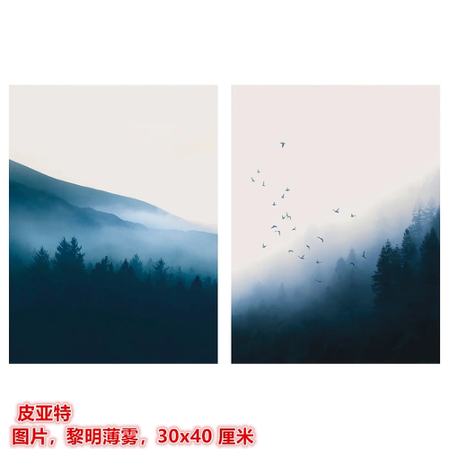 IKEA宜家 皮亚特 图片现代装饰画挂画黎明薄雾背景画30x40 厘米