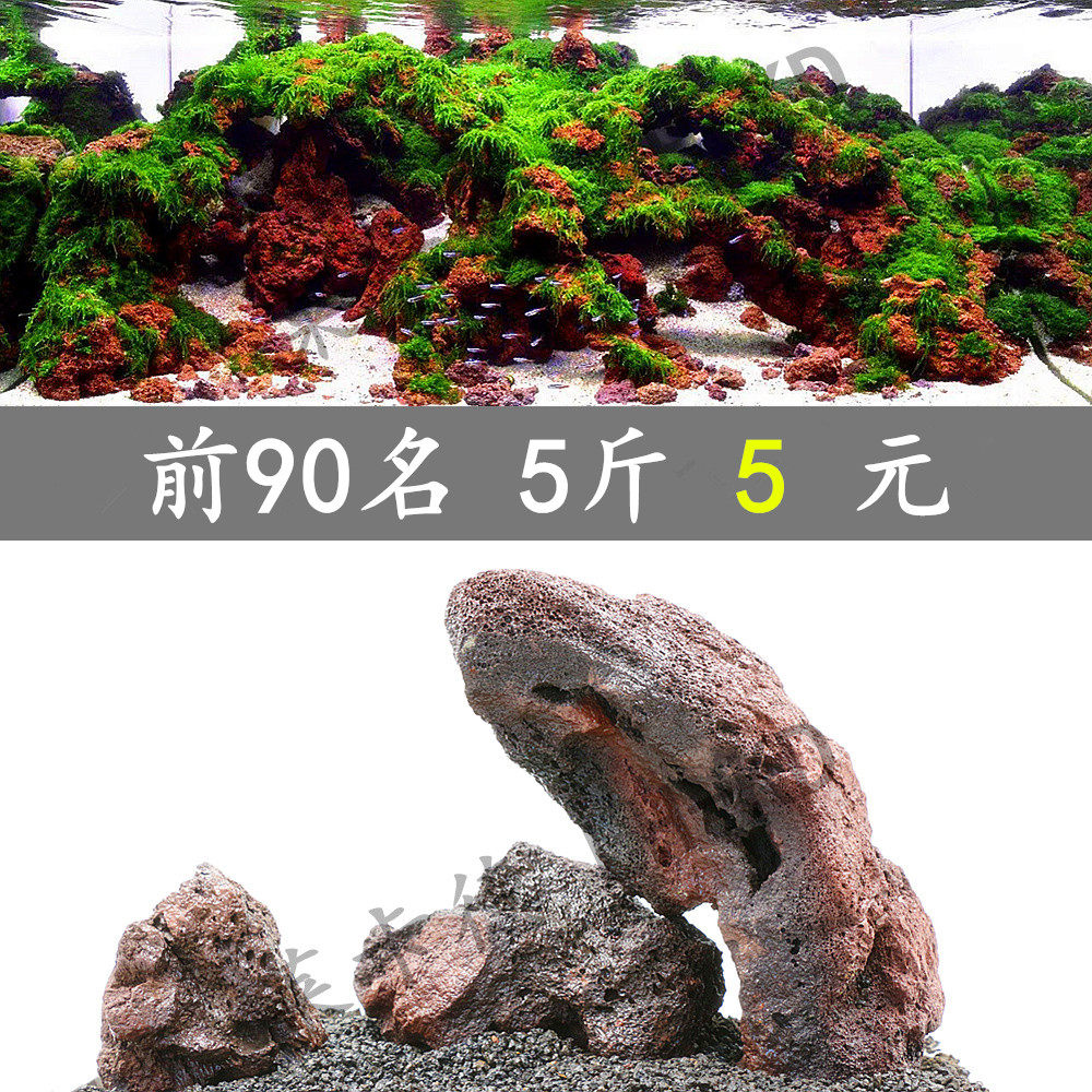 三湖慈鲷造景罗汉鱼火山石火山岩鱼缸造景套餐水族造景石小假山石