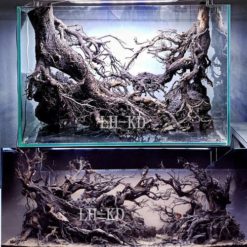 鱼缸造景套餐装饰紫柚木沉木南美原生缸溪流缸亚马逊沉木南美造景 - 封面