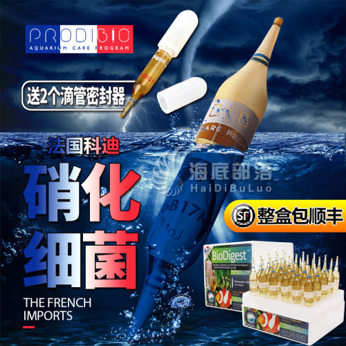 法国ProdiBio科迪活性高效硝化细