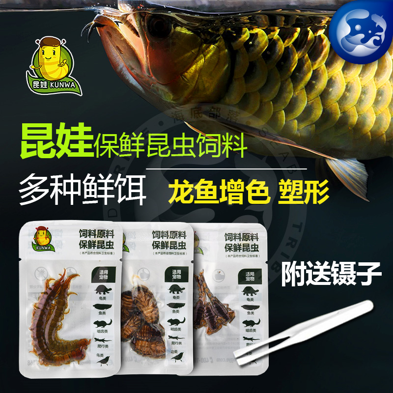 龙鱼饲料昆娃饲料保鲜昆虫鱼食大型鱼增色鱼粮大麦虫蝎子蟑螂蜈蚣