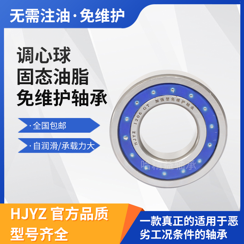 固态油脂免维护双列调心球轴承2205.GT S2205.GT 1311.GT防水防尘