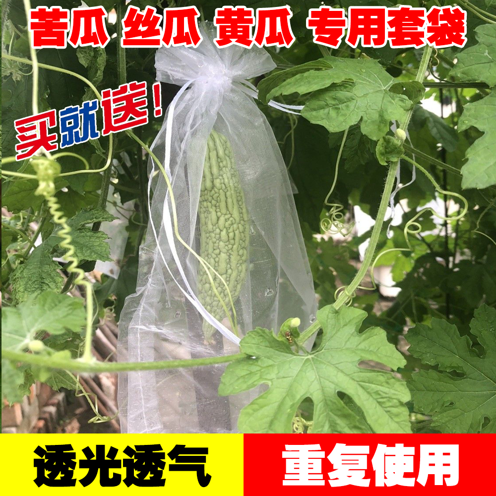 欧根纱布密眼水果黄瓜苦瓜丝瓜玉米茄子青瓜羊角蜜套袋保护网纱袋