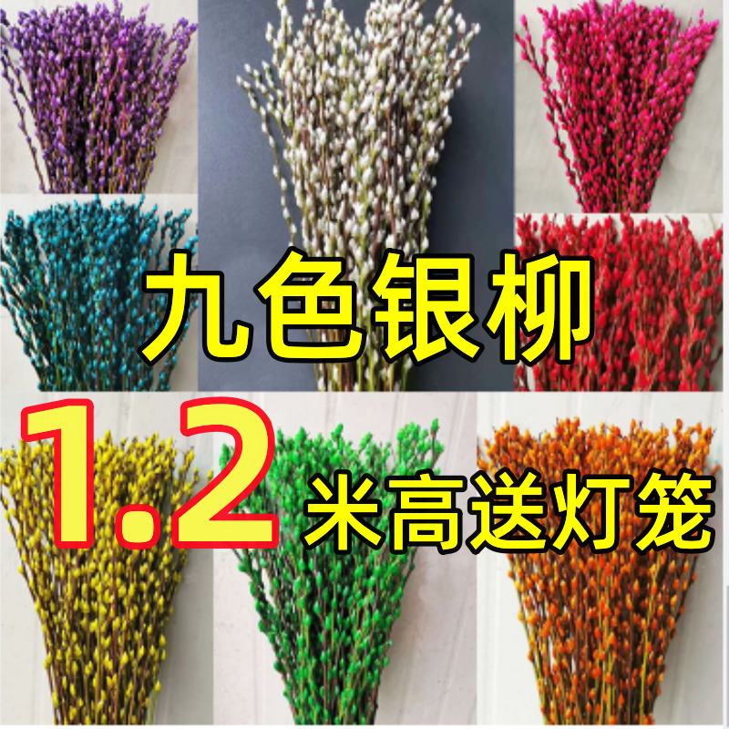 银柳年宵摆设银柳真花鲜支
