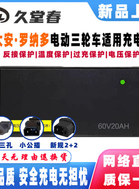 大安罗纳多电动车适配充电器48V32AH60V45AH72V52AH84V96V58AH60A
