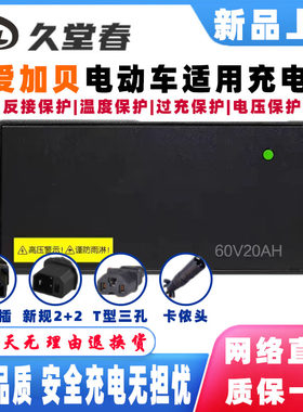 爱加贝电动车电瓶适配充电器电摩