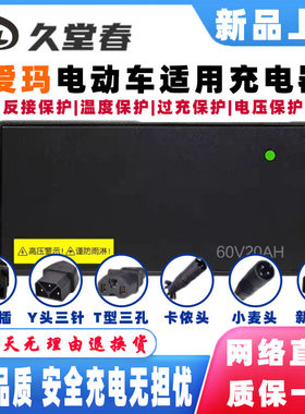 爱玛电动车电瓶适配充电器60V72V
