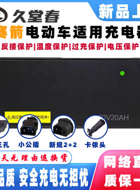 赛箭电动车电瓶适配充电器48V12AH60V20AH72V32AH84V96V108V电摩