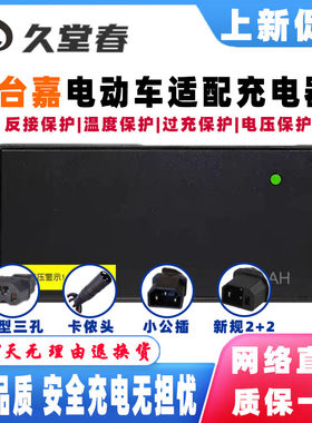 台嘉电动车电瓶充电器