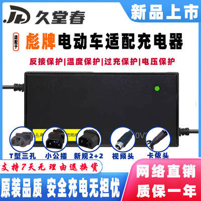 彪牌电动车电瓶充电器