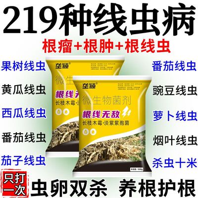 农用根结线虫专用药淡紫紫孢菌