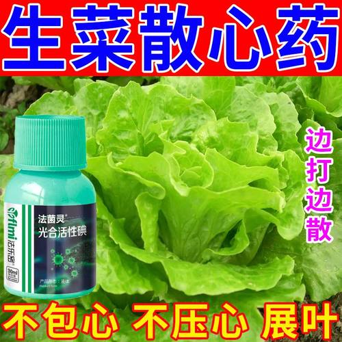 生菜专用防扭心展叶增绿叶面肥