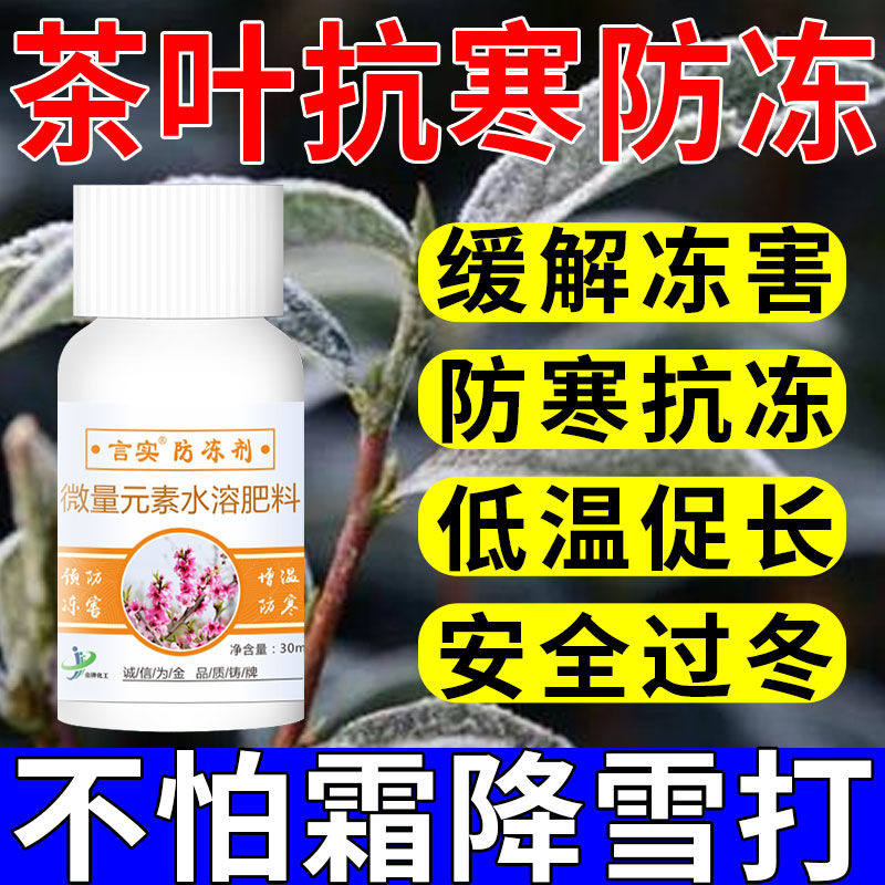 茶树防冻剂茶叶防寒防冻低温促长叶面肥