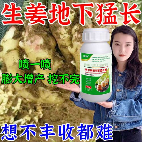 生姜膨大素大姜沙姜南姜黄姜专用膨根剂根茎膨大增产增重叶面肥料