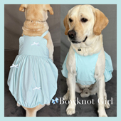 芭蕾美学 裙子哈士奇萨摩耶中大型犬连衣裙 大狗狗衣服春夏新款