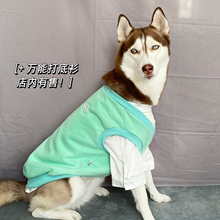 返校学姐哈士奇衣服大型犬加绒阿拉斯加金毛幼犬保暖大狗衣服春装