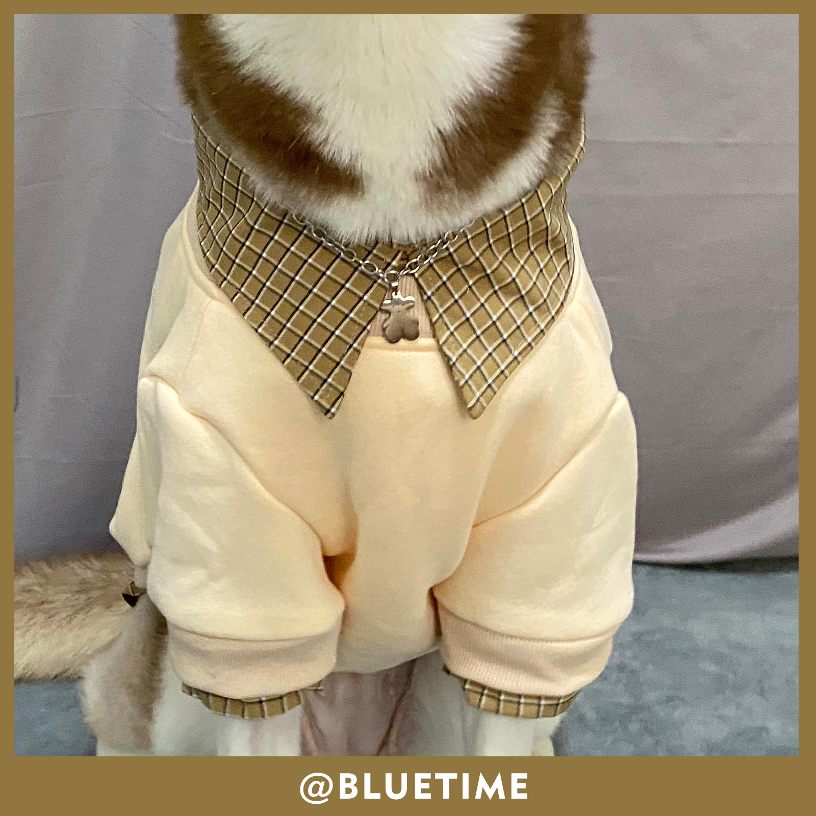 韩系欧巴|大狗衣服秋冬装阿拉斯加萨摩耶加绒大型犬宠物卫衣秋款