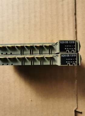 {议价}贝加莱X20模块 DS1319 实测包好用