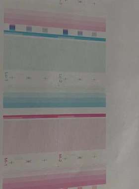 {议价}转让两个2020年的理光G5喷头 lclm的那两