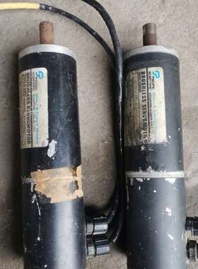 议价R22GENA-R1-NS-NV-02伺服 BRUSHLES