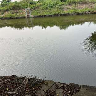 议价鱼塘承包