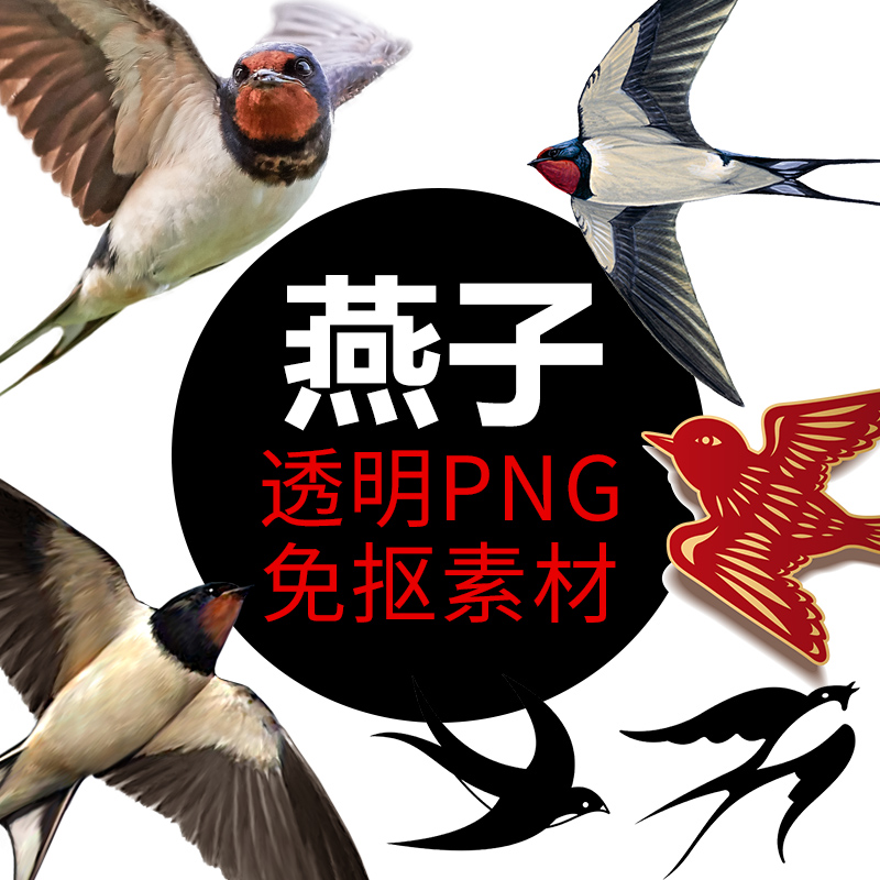 燕子小鸟类png格式免抠图照片图片卡通电商海报合成元素设计素材