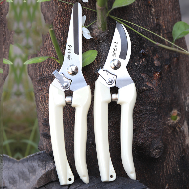 不锈钢强力园林园艺修枝剪家用省力修花修建树枝花卉剪刀