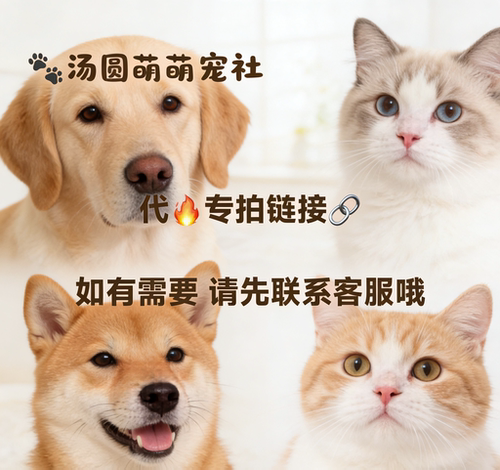 邮费差价专拍/其它服务