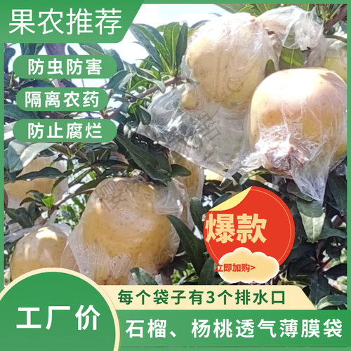 安徽石榴套袋软仔石榴防虫袋怀远石榴套袋一体袋大号石榴内膜袋