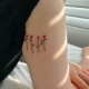 AnOther Tattoo彩色超洋气高级浓郁红玫瑰手臂辣妹纹身贴防水