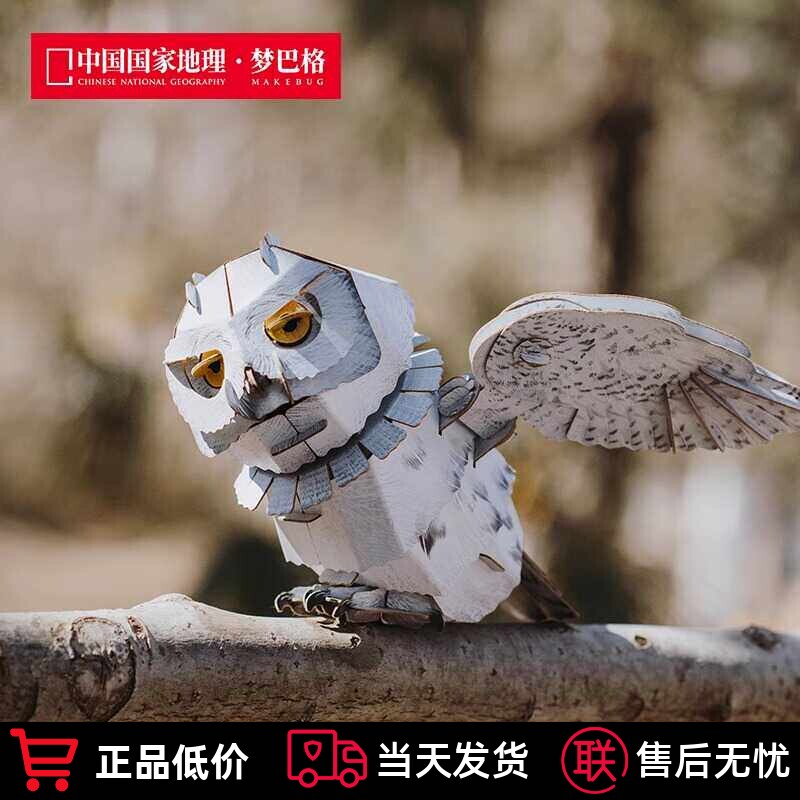 国家地理3D立体雪鸮拼插纸模