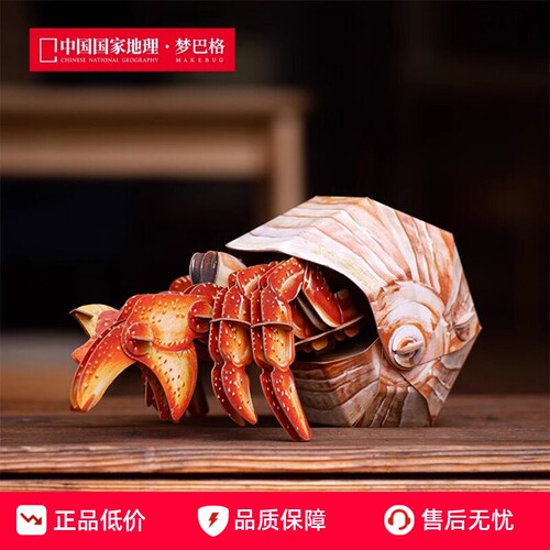 中国国家地理梦巴格 海洋系列拼插纸模橙红陆寄居蟹原创STEAM TOY